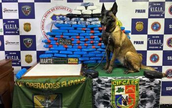 Em Coari polícia apreende mais de 100 kg de cocaína em embarcação