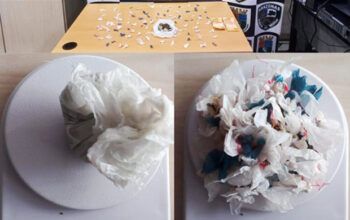 No Rio Preto da Eva, PMAM prende homem por tráfico de drogas