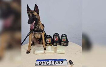 PMAM apreende 3 kg de cocaína na zona leste de Manaus com auxílio de cães farejadores