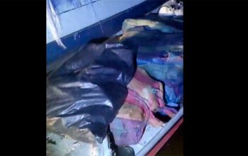 Quase duas toneladas de maconha são apreendidas em Santa Isabel do Rio Negro