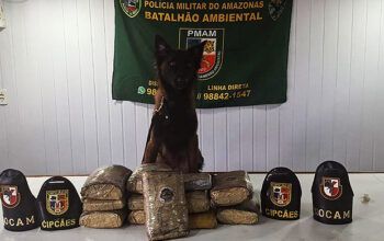 Polícia Fluvial apreende em Novo Airão 12 tabletes de maconha tipo skunk