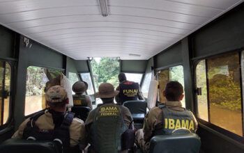 Ibama, Funai e PF realizam operação do Vale do javari contra a pesca ilegal na região