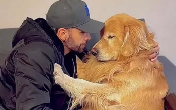 Governo notifica Gol e pede esclarecimentos sobre morte do cachorro Joca