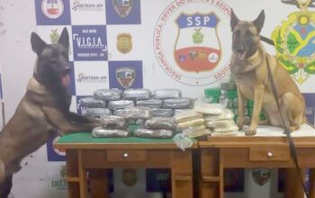 Cocaína e maconha são apreendidas em Coari escondida em sacos de farinha