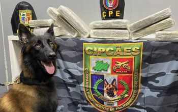 Em Barcelos são aprendidos 15kg maconha do tipo skunk  dentro de embarcação