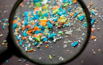 Microplásticos são encontrados em pênis humanos pela primeira vez