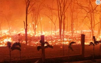 Focos de incêndio em plena cidade causam pânico em Ribeirão Preto