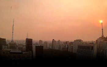 Número de incêndios bate recorde dos últimos 26 anos em SP