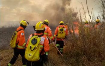 No DF, 58  incêndios criminosos não resultaram em prisões