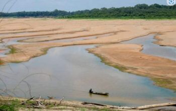 Rios Solimões, Madeira e Acre atingem o menor nível da história