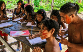 Brasil tem mais de 250 mil indígenas analfabetos, diz IBGE