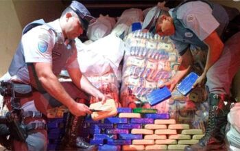 Juíza solta motorista flagrado transportando R$ 50 milhões em cocaína