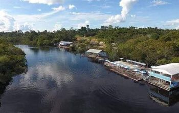 Buscas do avião desaparecido na região de Manicoré (AM) serão reforçados com cães farejadores e novas equipe de bombeiros