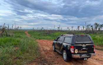 PF deflagra Operação Pasto Oculto em Tapauá contra desmatamento ilegal e invasão de terras da União