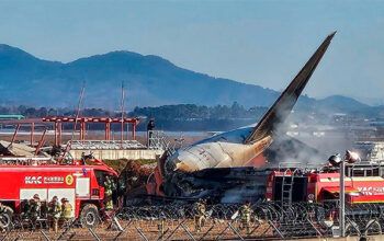 Piloto fez pedido de socorro após aviso de aves no espaço aéreo da Coreia do Sul
