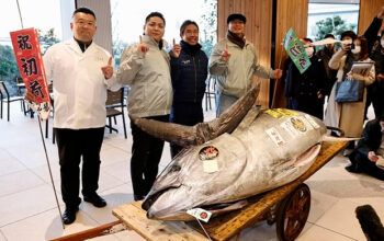 Atum de 276 quilos do tipo bluefin foi leiloado no Japão por R$ 7,95 milhões