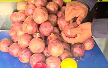 Cocaína na cebola é apreendida em Santo Antônio do Iça, no Amazonas