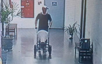 Vereadora perde eleição em São Paulo e retira privada e pias de seu antigo gabinete