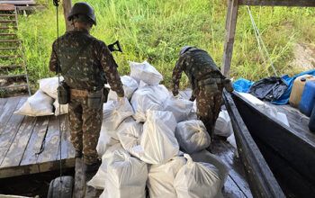Comando Militar da Amazônia apreende 1 tonelada de maconha  na calha do Rio Içá, fronteira com a Colômbia