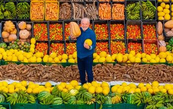 Governo Lula prepara estoques de arroz, milho e trigo contra inflação da comida