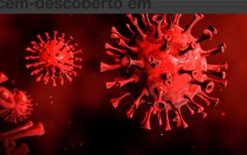 Coronavírus recém-descoberto em morcegos na China poderia afetar humanos