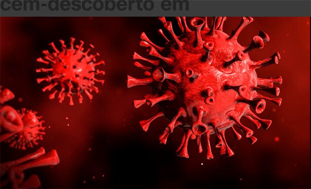 Coronavírus recém-descoberto em morcegos na China poderia afetar humanos