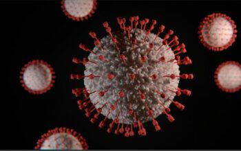 Veja o que se sabe sobre o novo coronavírus na China encontrado em morcegos de Hong Kong