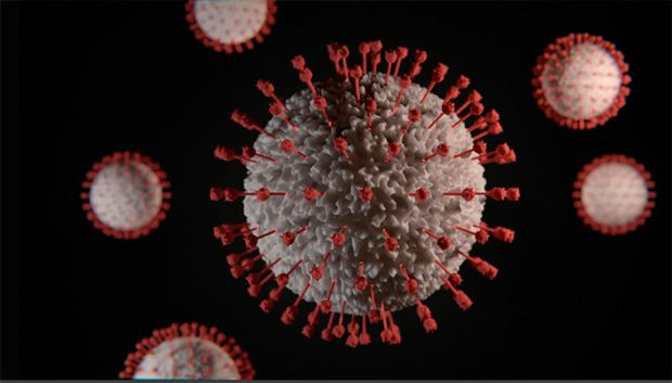 Veja o que se sabe sobre o novo coronavírus na China encontrado em morcegos de Hong Kong