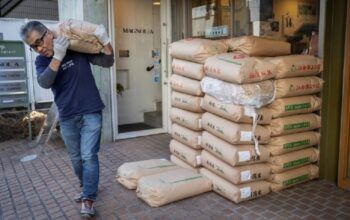 Japão realiza leilão de reservas de arroz para conter alta nos preços