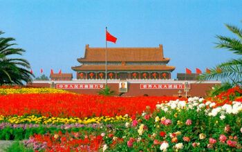 China reage e anuncia novas tarifas sobre produtos dos EUA de 125%