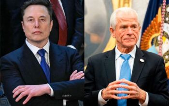 Musk insulta principal assessor comercial de Trump: “Completo idiota”