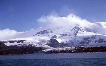 Tarifaço de Trump atinge até mesmo ilha habitada só por pinguins