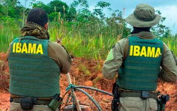 Usado pelo tráfico de drogas, garimpo ilegal é desativado pela PF no Pará