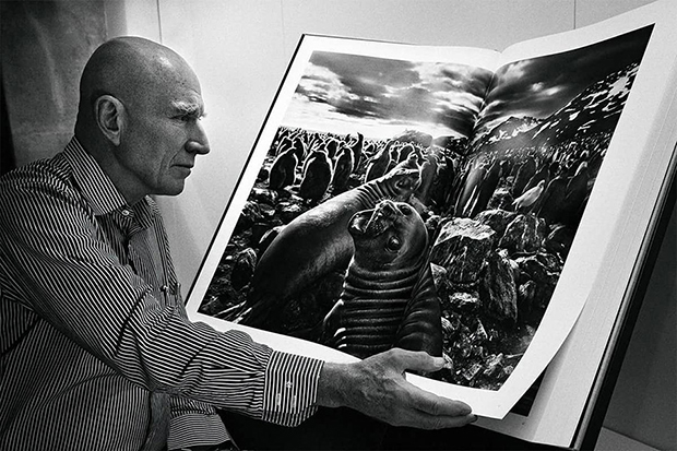 Ícone da fotografia, Sebastião Salgado morre aos 81 anos