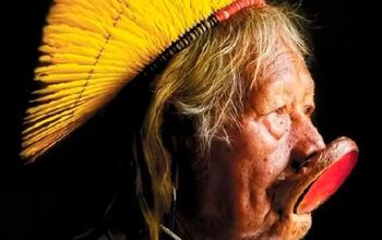 Raoni lança biografia e diz que prepara sucessor