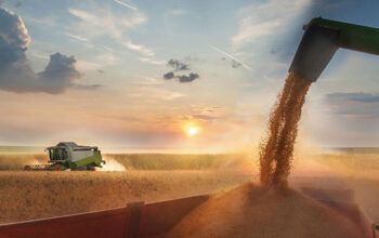 Agro se alinha a Lula e critica tarifaço de Trump: “Não se justifica”