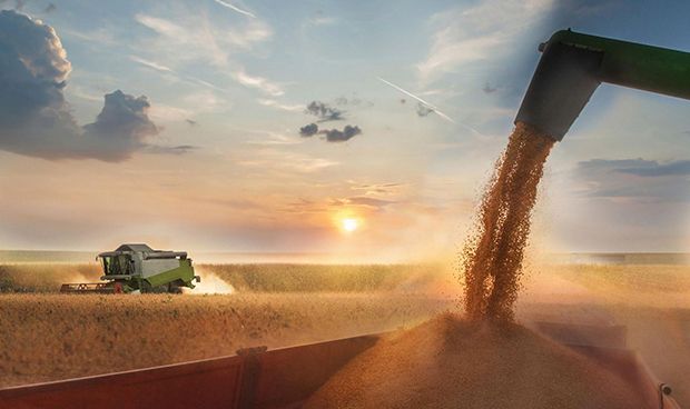 Agro se alinha a Lula e critica tarifaço de Trump: “Não se justifica”