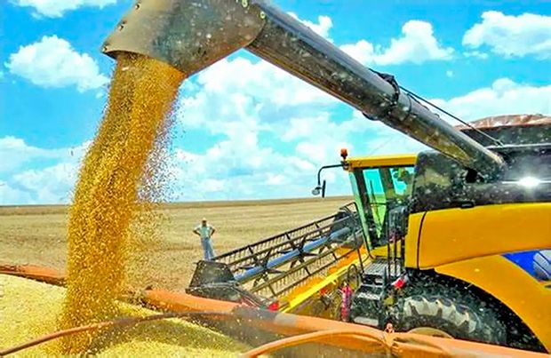 China diz que compra de soja dos EUA depende do fim de tarifas 'irracionais'