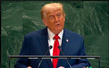 Trump elogia Lula na ONU e diz que pode encontrá-lo na próxima semana: 'Excelente química'