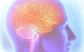 AVC mata uma pessoa a cada seis minutos no Brasil