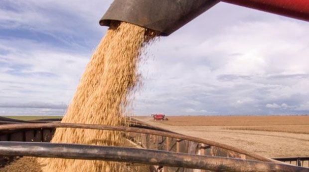 China não comprou sequer um grão de soja dos EUA esse ano