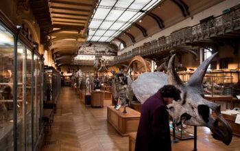 Chinesa é presa por roubo de pepitas de ouro em museu de Paris