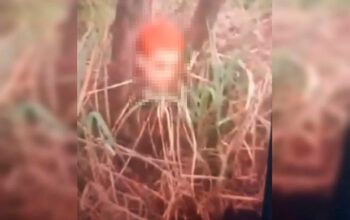 Faccionado do CV foi decapitado e teve cabeça amarrada em árvore