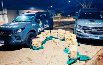 Meia tonelada de crack é apreendida em carga de gelo e peixe em SP