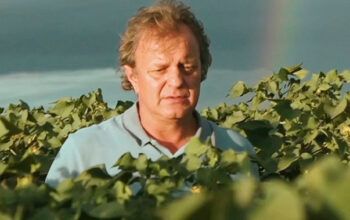 PF suspeita que empresário do agro pagou R$ 26 milhões para comprar sentença