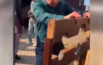 PGR é a favor de acordo com político que sugeriu guilhotina a Moraes