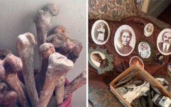 Polícia encontra crânios e ossos humanos em apartamento no Jardim Paulista em SP