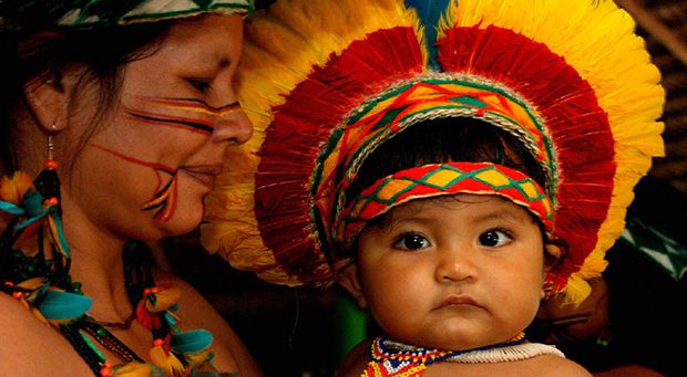 De acordo com a pesquisa, a população Tikúna é de 74.061 indivíduos; os Kokama somam 64.327 e os Múra, que aparece na 10ª colocação, com 36.347 indivíduos.