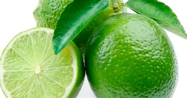 Queda de produtividade preocupa produtores de limão