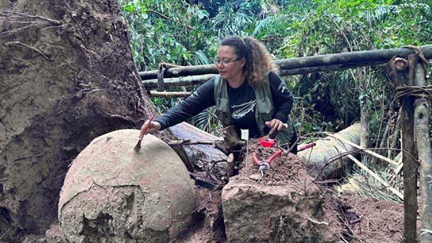 Restos de ossos humanos encontrados em Fonte Boa (AM) revela ocupação milenar no Solimões, diz reportagem